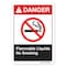 Signmission ANSI Danger Sign, Flammable Liquids No Smoking, 14in X 10in Rigid Plastic, 10" W, 14" L, Landscape OS-DS-P-1014-L-19849 - alternate 1